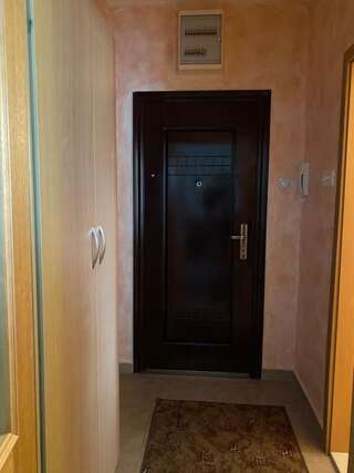 Апартаменты Apartman Ilievski Петровац Апартаменты с 1 спальней-11