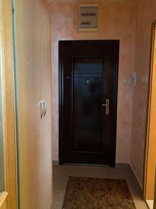 Апартаменты Apartman Ilievski Петровац Апартаменты с 1 спальней-4